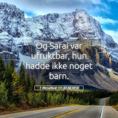 Picture 05 - 1 Mosebok 11:30 NORSK - Og Sarai var ufruktbar, hun hadde ikke noget - Bible Verse Picture