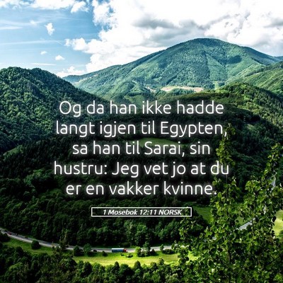 Picture 05 - 1 Mosebok 12:11 NORSK - Og da han ikke hadde langt igjen til Egypten, sa - Bible Verse Picture