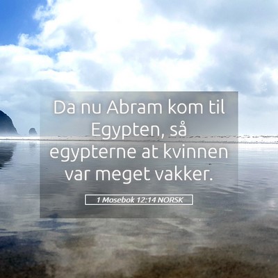 Picture 05 - 1 Mosebok 12:14 NORSK - Da nu Abram kom til Egypten, så egypterne at - Bible Verse Picture
