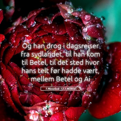 Picture 05 - 1 Mosebok 13:3 NORSK - Og han drog i dagsreiser fra sydlandet, til han - Bible Verse Picture
