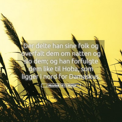 Picture 05 - 1 Mosebok 14:15 NORSK - Der delte han sine folk og overfalt dem om natten - Bible Verse Picture