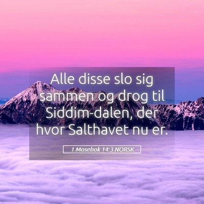 Picture 05 - 1 Mosebok 14:3 NORSK - Alle disse slo sig sammen og drog til - Bible Verse Picture