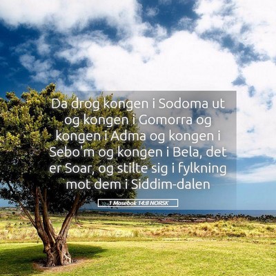 Picture 05 - 1 Mosebok 14:8 NORSK - Da drog kongen i Sodoma ut og kongen i Gomorra og - Bible Verse Picture