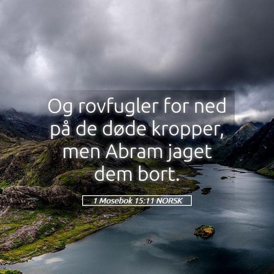 Picture 05 - 1 Mosebok 15:11 NORSK - Og rovfugler for ned på de døde kropper, men - Bible Verse Picture