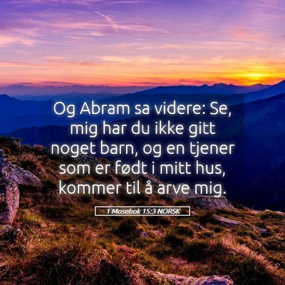 Picture 05 - 1 Mosebok 15:3 NORSK - Og Abram sa videre: Se, mig har du ikke gitt - Bible Verse Picture