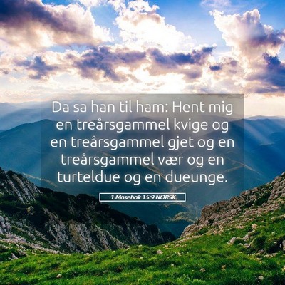 Picture 05 - 1 Mosebok 15:9 NORSK - Da sa han til ham: Hent mig en treårsgammel - Bible Verse Picture