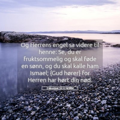 Picture 05 - 1 Mosebok 16:11 NORSK - Og Herrens engel sa videre til henne: Se, du er - Bible Verse Picture
