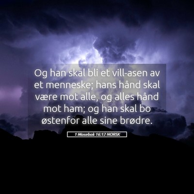 Picture 05 - 1 Mosebok 16:12 NORSK - Og han skal bli et vill-asen av et menneske; hans - Bible Verse Picture