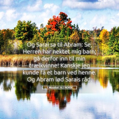 Picture 05 - 1 Mosebok 16:2 NORSK - Og Sarai sa til Abram: Se, Herren har nektet mig - Bible Verse Picture