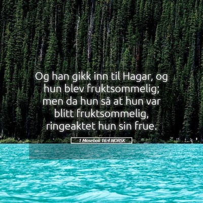 Picture 05 - 1 Mosebok 16:4 NORSK - Og han gikk inn til Hagar, og hun blev - Bible Verse Picture