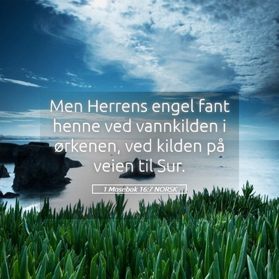 Picture 05 - 1 Mosebok 16:7 NORSK - Men Herrens engel fant henne ved vannkilden i - Bible Verse Picture