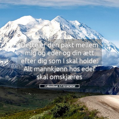 Picture 05 - 1 Mosebok 17:10 NORSK - Dette er den pakt mellem mig og eder og din ætt - Bible Verse Picture