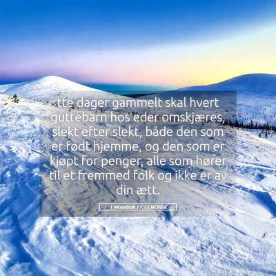 Picture 05 - 1 Mosebok 17:12 NORSK - tte dager gammelt skal hvert guttebarn hos eder - Bible Verse Picture