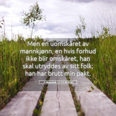 Picture 05 - 1 Mosebok 17:14 NORSK - Men en uomskåret av mannkjønn, en hvis forhud - Bible Verse Picture