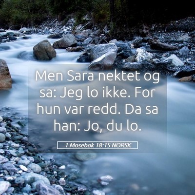 Picture 05 - 1 Mosebok 18:15 NORSK - Men Sara nektet og sa: Jeg lo ikke. For hun var - Bible Verse Picture