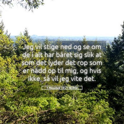 Picture 05 - 1 Mosebok 18:21 NORSK - Jeg vil stige ned og se om de i alt har båret - Bible Verse Picture