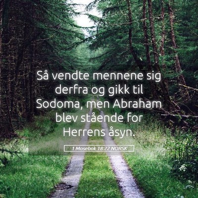 Picture 05 - 1 Mosebok 18:22 NORSK - Så vendte mennene sig derfra og gikk til Sodoma, - Bible Verse Picture