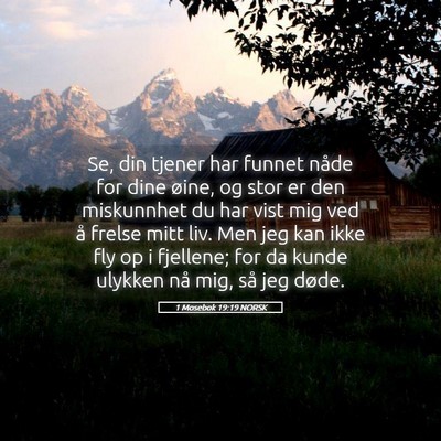 Picture 05 - 1 Mosebok 19:19 NORSK - Se, din tjener har funnet nåde for dine øine, - Bible Verse Picture