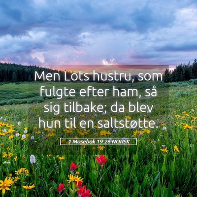 Picture 05 - 1 Mosebok 19:26 NORSK - Men Lots hustru, som fulgte efter ham, så sig - Bible Verse Picture