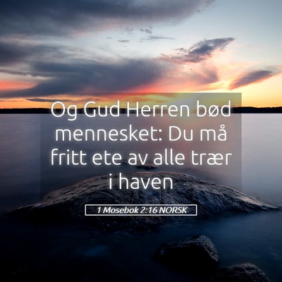Picture 05 - 1 Mosebok 2:16 NORSK - Og Gud Herren bød mennesket: Du må fritt ete av - Bible Verse Picture