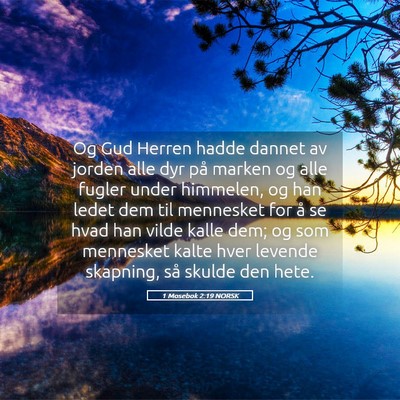 Picture 05 - 1 Mosebok 2:19 NORSK - Og Gud Herren hadde dannet av jorden alle dyr på - Bible Verse Picture