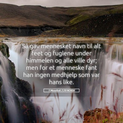 Picture 05 - 1 Mosebok 2:20 NORSK - Så gav mennesket navn til alt feet og fuglene - Bible Verse Picture