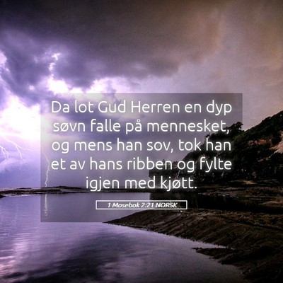 Picture 05 - 1 Mosebok 2:21 NORSK - Da lot Gud Herren en dyp søvn falle på - Bible Verse Picture