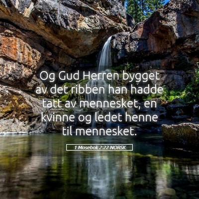 Picture 05 - 1 Mosebok 2:22 NORSK - Og Gud Herren bygget av det ribben han hadde tatt - Bible Verse Picture