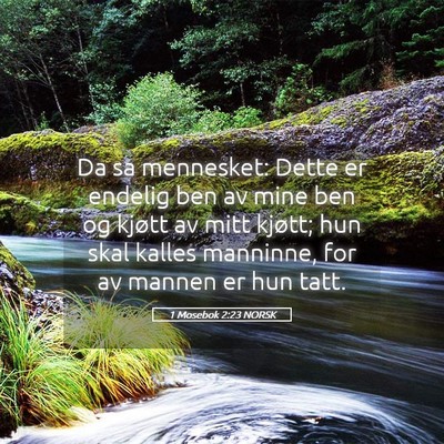 Picture 05 - 1 Mosebok 2:23 NORSK - Da sa mennesket: Dette er endelig ben av mine ben - Bible Verse Picture