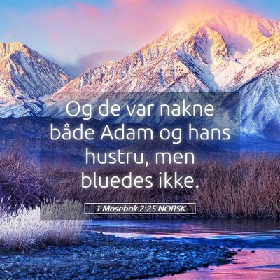 Picture 05 - 1 Mosebok 2:25 NORSK - Og de var nakne både Adam og hans hustru, men - Bible Verse Picture