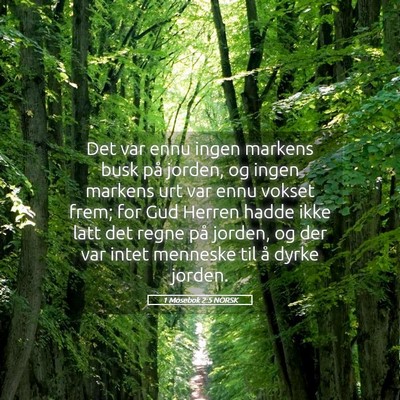 Picture 05 - 1 Mosebok 2:5 NORSK - Det var ennu ingen markens busk på jorden, og - Bible Verse Picture
