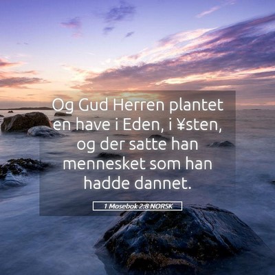 Picture 05 - 1 Mosebok 2:8 NORSK - Og Gud Herren plantet en have i Eden, i ¥sten, - Bible Verse Picture