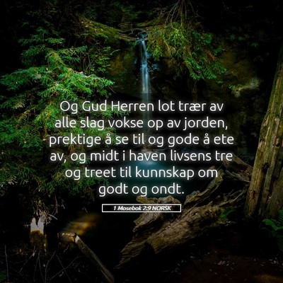 Picture 05 - 1 Mosebok 2:9 NORSK - Og Gud Herren lot trær av alle slag vokse op av - Bible Verse Picture