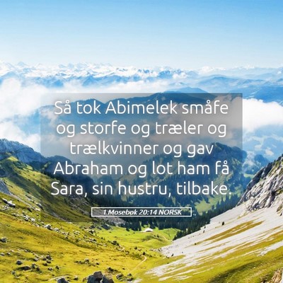Picture 05 - 1 Mosebok 20:14 NORSK - Så tok Abimelek småfe og storfe og træler og - Bible Verse Picture