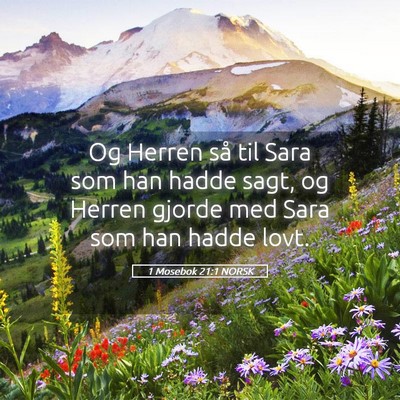 Picture 05 - 1 Mosebok 21:1 NORSK - Og Herren så til Sara som han hadde sagt, og - Bible Verse Picture