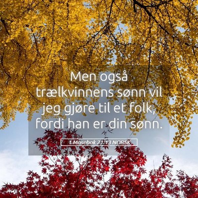 Picture 05 - 1 Mosebok 21:13 NORSK - Men også trælkvinnens sønn vil jeg gjøre til - Bible Verse Picture