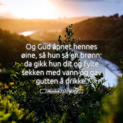Picture 05 - 1 Mosebok 21:19 NORSK - Og Gud åpnet hennes øine, så hun så en - Bible Verse Picture