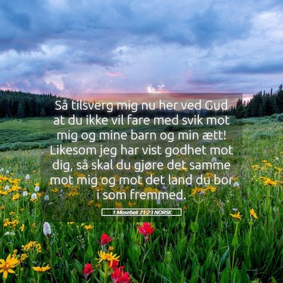 Picture 05 - 1 Mosebok 21:23 NORSK - Så tilsverg mig nu her ved Gud at du ikke vil - Bible Verse Picture