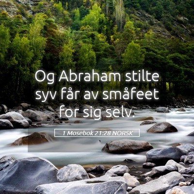 Picture 05 - 1 Mosebok 21:28 NORSK - Og Abraham stilte syv får av småfeet for sig - Bible Verse Picture