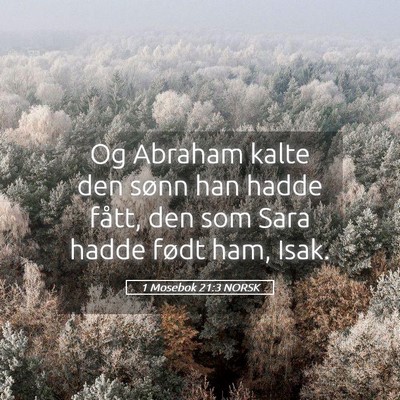 Picture 05 - 1 Mosebok 21:3 NORSK - Og Abraham kalte den sønn han hadde fått, den - Bible Verse Picture