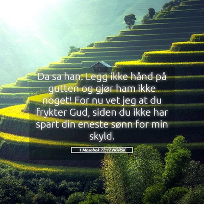 Picture 05 - 1 Mosebok 22:12 NORSK - Da sa han: Legg ikke hånd på gutten og gjør - Bible Verse Picture