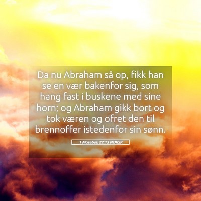 Picture 05 - 1 Mosebok 22:13 NORSK - Da nu Abraham så op, fikk han se en vær - Bible Verse Picture