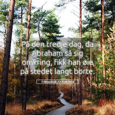 Picture 05 - 1 Mosebok 22:4 NORSK - På den tredje dag, da Abraham så sig omkring, - Bible Verse Picture