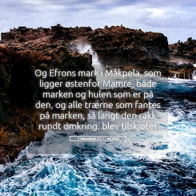 Picture 05 - 1 Mosebok 23:17 NORSK - Og Efrons mark i Makpela, som ligger østenfor - Bible Verse Picture