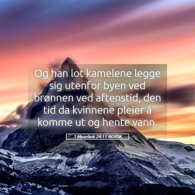 Picture 05 - 1 Mosebok 24:11 NORSK - Og han lot kamelene legge sig utenfor byen ved - Bible Verse Picture