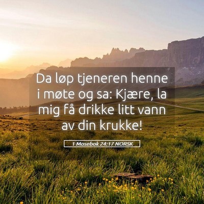 Picture 05 - 1 Mosebok 24:17 NORSK - Da løp tjeneren henne i møte og sa: Kjære, la - Bible Verse Picture