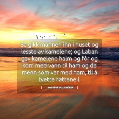 Picture 05 - 1 Mosebok 24:32 NORSK - Så gikk mannen inn i huset og lesste av - Bible Verse Picture
