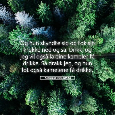 Picture 05 - 1 Mosebok 24:46 NORSK - Og hun skyndte sig og tok sin krukke ned og sa: - Bible Verse Picture