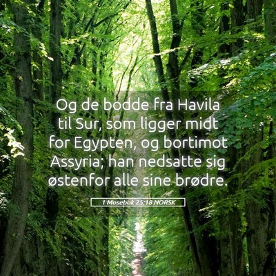 Picture 05 - 1 Mosebok 25:18 NORSK - Og de bodde fra Havila til Sur, som ligger midt - Bible Verse Picture