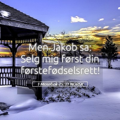 Picture 05 - 1 Mosebok 25:31 NORSK - Men Jakob sa: Selg mig først din - Bible Verse Picture